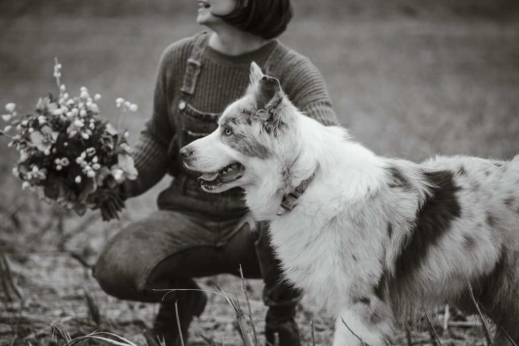 Der Hund darf natürlich nicht fehlen am Valentinstag.
