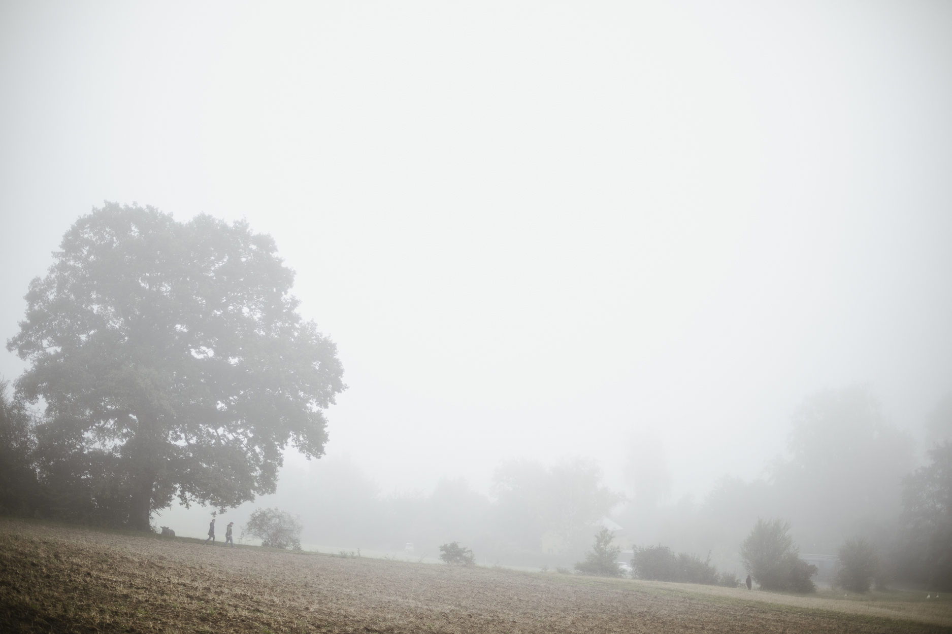 Nebel verhüllt Oberengstringen beim Paar-Fotoshooting