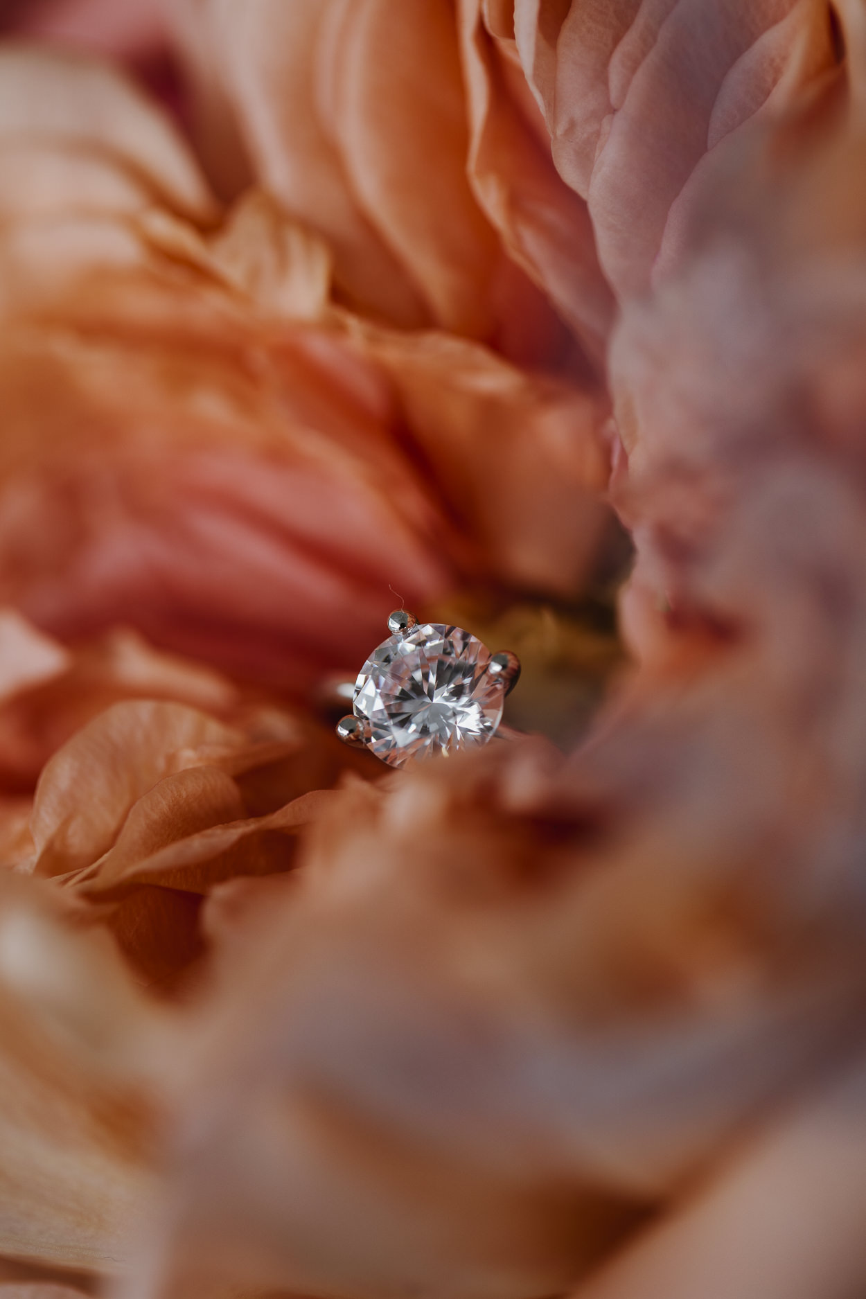 elegante Hochzeit im Vitznauerhof - Verlobungsring von Green World Diamonds