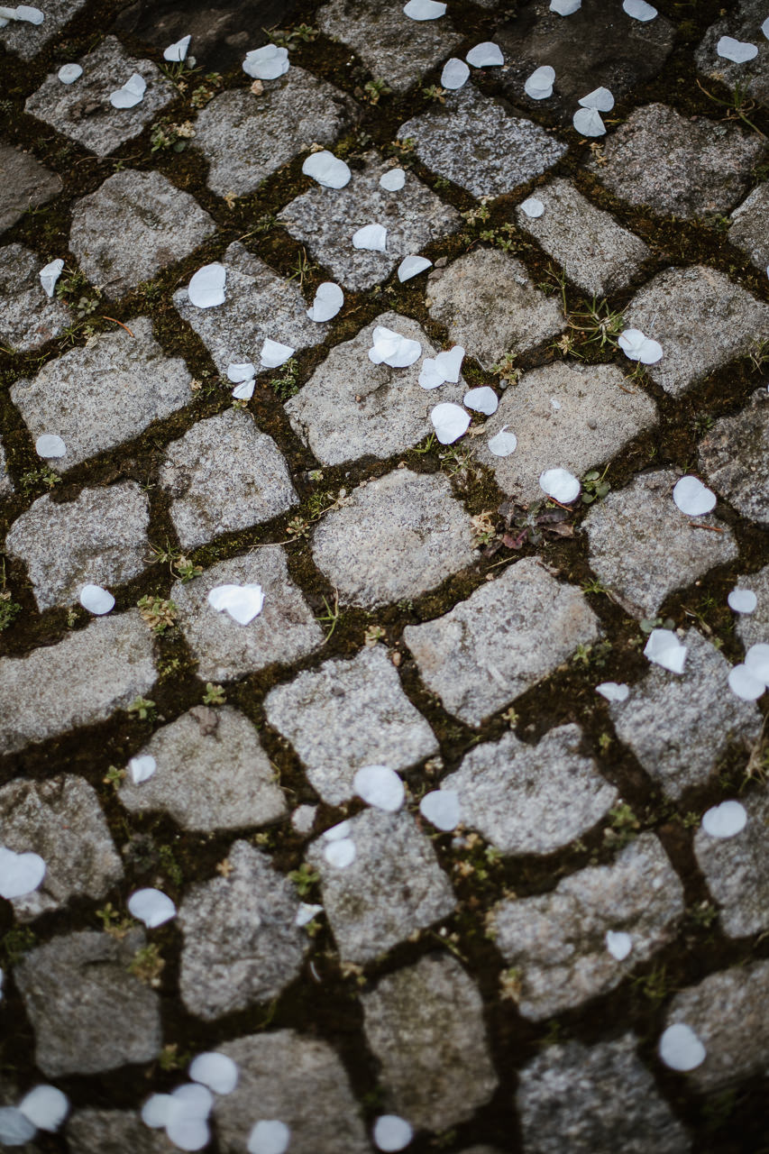 Stephanie Wittmer Fotografie - Rosenblätter vor dem historischen Ortsmuseum Unterengstringen nach dem Auszug des Brautpaars.