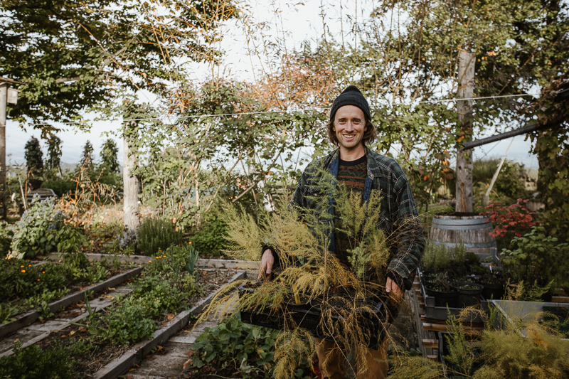 Lucas bringt junge Spargelpflanzen in einer Kiste.