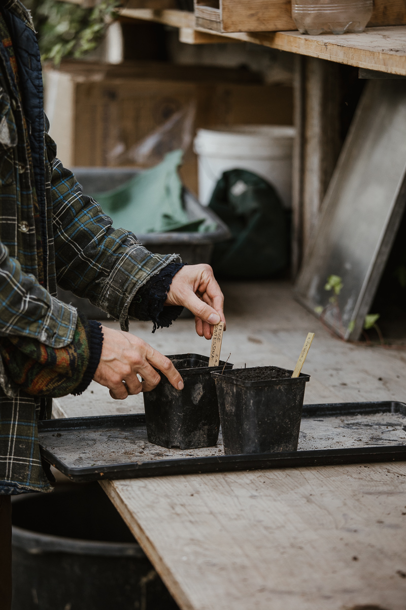 Detail: Hände beschriften Anzuchttöpfe.