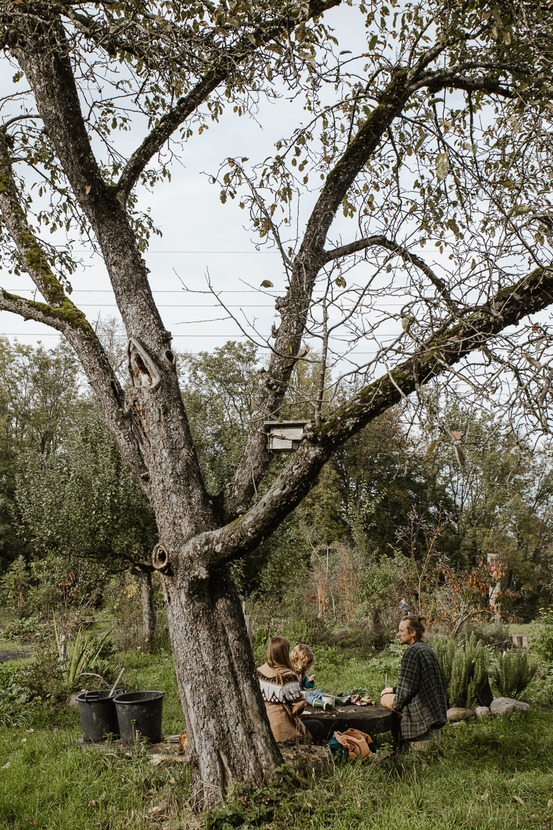 Familienszene unter dem Baum der Gärtnerei. Business Reportage.